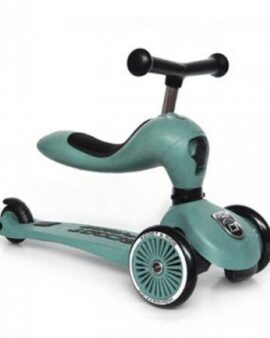 Trottinette 2 en 1 Highwaykick – VERTE