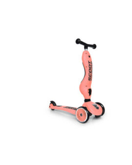 Trottinette 2 en 1 Highwaykick – PECHE