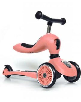 Trottinette 2 en 1 Highwaykick – PECHE