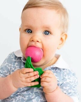 Jouet de dentition – LE RADIS